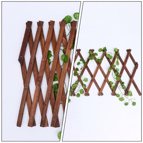 Treillis extensible pour plantes grimpantes résolvant les problèmes de vis-à-vis - 6