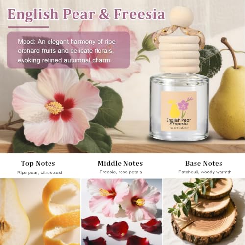 Image of Car Air Freshener,4 Pack