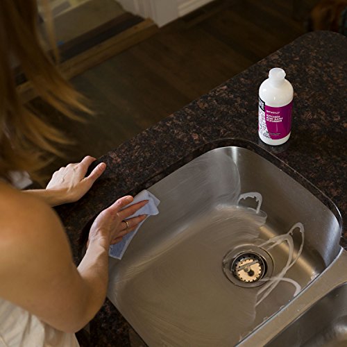 Better Life Even The Kitchen Sink Scrubber, 16 Ounce #TOP4