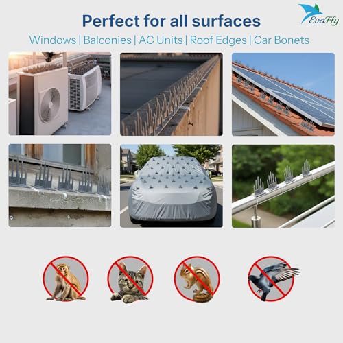 Image of Evafly Birds Spike for Pigeon | Pack 80 Strong Uv Treated Unbreakable Spikes| Uses at AC Cabinate Windows Railing- Grey (Cover 10 Feet)