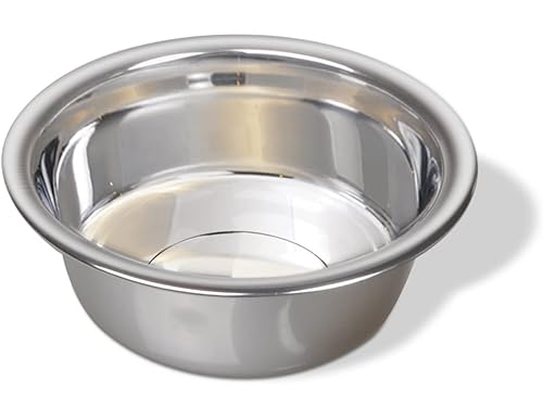 Best 10 Stainless Steel Dog Bowls In 2024: [Reviews + Buying Guide]