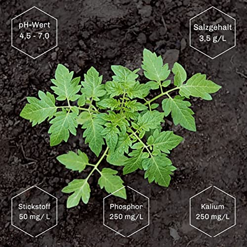 Tomatenerde Blumixx Profigreen torffrei für Gemüseanbau