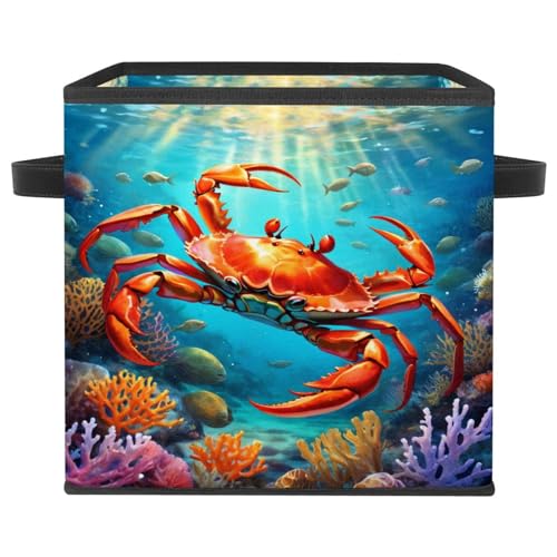 Boîte de rangement pliable crabe pour stopper le désordre - 2