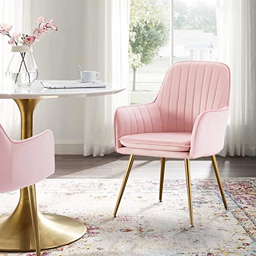 Altrobene Velvet Accent Chair, Home Office Desk Chair No Wheels, Modern Dinging Chair, Living Room Bedroom Arm Chair, Girls Vanity Chair, Golden Finished, Pink #TOP2