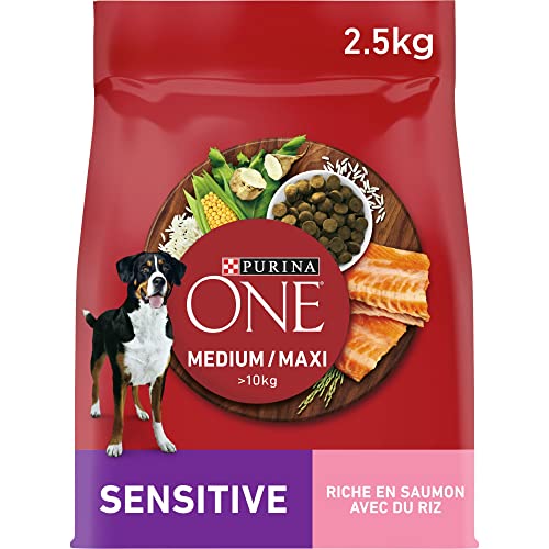 PURINA ONE Medium/Maxi >10kg | Adultes | Sensitive | Croquettes Riches en Saumon pour Chiens| Sac de 2,5kg
