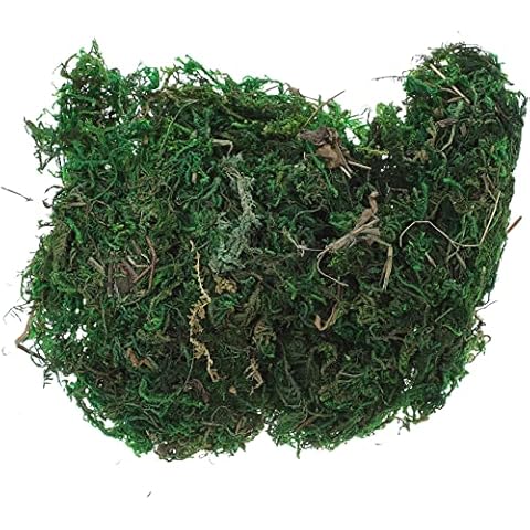 SEWACC Artificial Fake Moss Aftificial Green Moss Artificial Moss Lichen for Plant, Garden Lawn Crafts Wedding Decor ( 20g/ small Pack ) Cover