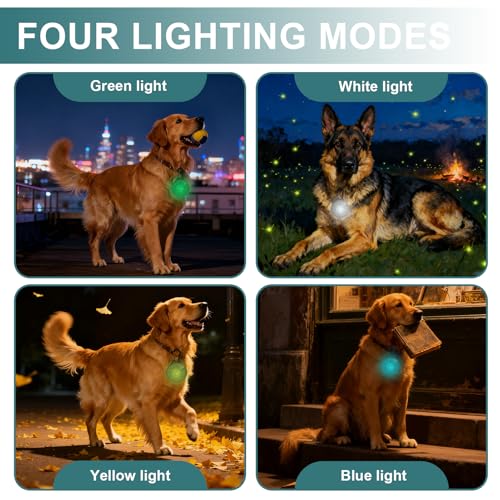 2 Pack Hundehalsband Leuchtend, 3-Modus-LED Wasserdichtes Leuchthalsband Hund, für Nächtliche Spaziergänge, Laufen und Camping Schulranzen Licht, Geeignet für Haustiere, Transparent