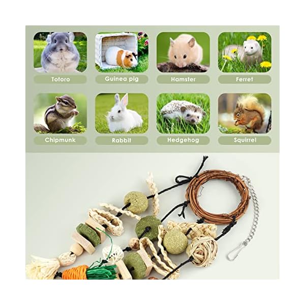 ERKOON Kaninchen Spielzeug, Rabbit Toy Kaninchenspielzeug Beschäftigung,Hasen zubehör Käfig Hängende Kauspielzeug, Hamster, Meerschweinchen – Bild 7