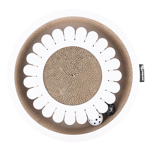 District 70 Bloom White