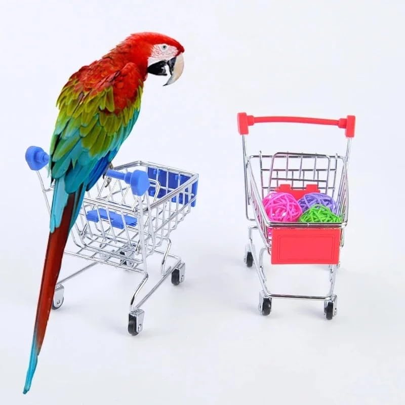Juguetes for pájaros enjaulados: juguetes for pájaros en busca de comida for periquitos, juguetes for pájaros, juguetes for cacatúas, juguetes for pájaros en busca de comida for pájaros(12ps)