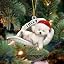 Bichon Frise