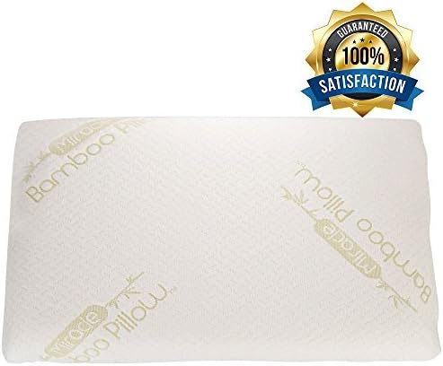 Memory Foam Bamboo Pillow, Shredded Down Fill, With Carrying Case