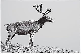 Amazon Brand - Rivet Rivet Black and White Canvas Wall Art Print of Male Deer, 36" x 24" (61 x 91 cm)