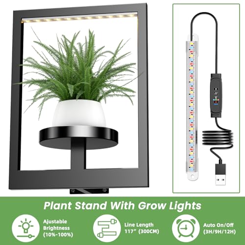 Support de fleurs robuste pour plantes d'intérieur et métal durable