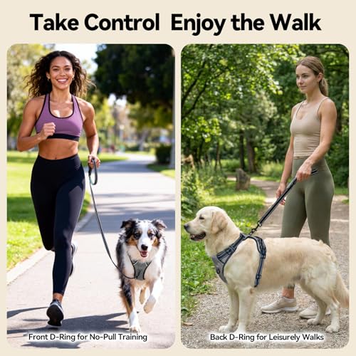 PHOEPET No Pull Dog Harness Medium Reflective Front Clip Vest with Handle, Adjustable 2 Metal Rings 2 Buckles(M, Grey) - Image 4