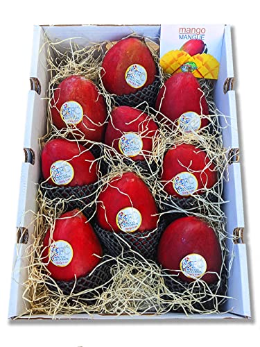 Mango fruta Pack 4 kg - Mangos importación - Compra mangos