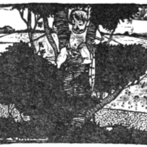 Grimm&rsquo;s Fairy Tales: Bird-Found