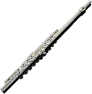 16-hole Open-hole And Closed-hole C-tone Nickel-plated Flute For Beginners flute instrument (Color : 16 closed cells)