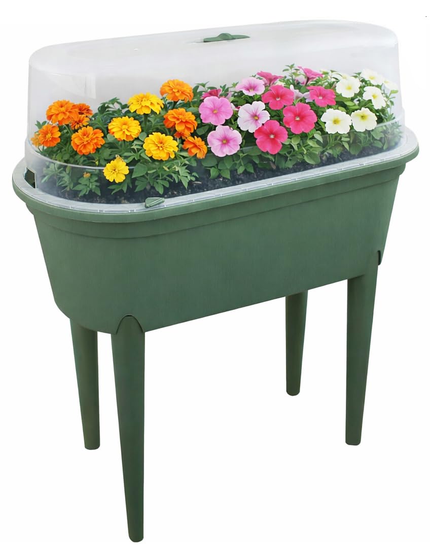 Outdooroasis Green Raised Beds For Garden & Patio Planter With House Cover – Elevated Mini Propagator On Legs For Vegetables, Herbs & Seeds – Portable Plastic Grow House (83Cm),