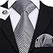 Barry.Wang Mens Ties Silk Tie Pocket Square Cufflinks Set Woven Designer Grey Black