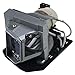 SunnyPro BL-FU190E Replacement Projector Lamp with Housing Compatible with OPTOMA HD25e HD131Xe HD131Xw