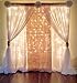 Pamela Leigh 10ft x 10ft Heavy Duty Metal Backdrop Stand with Steel Base, Photo Booth Stand, Wedding & Photography Studio Backdrop, Gold