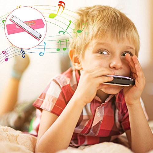 Harmonica 24 trous, C clé Harmonicas enfants Jouet Cadeau Harmonicas en métal (rose) - Les Beatles, Paul McCartney, John Lennon, RIngo Starr, George Harrison Harmonica 24 trous, C clé Harmonicas enfants Jouet Cadeau Harmonicas en métal (rose) – Image 7