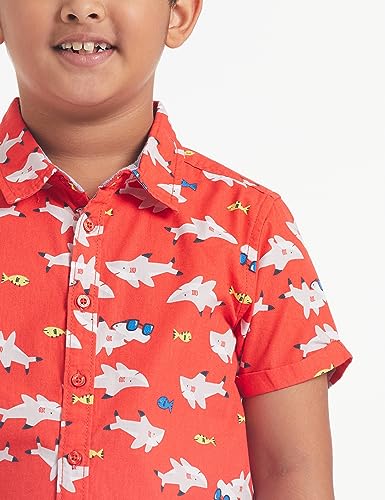 Image of Amazon Brand - Jam & Honey Boys' Button Down Shirt