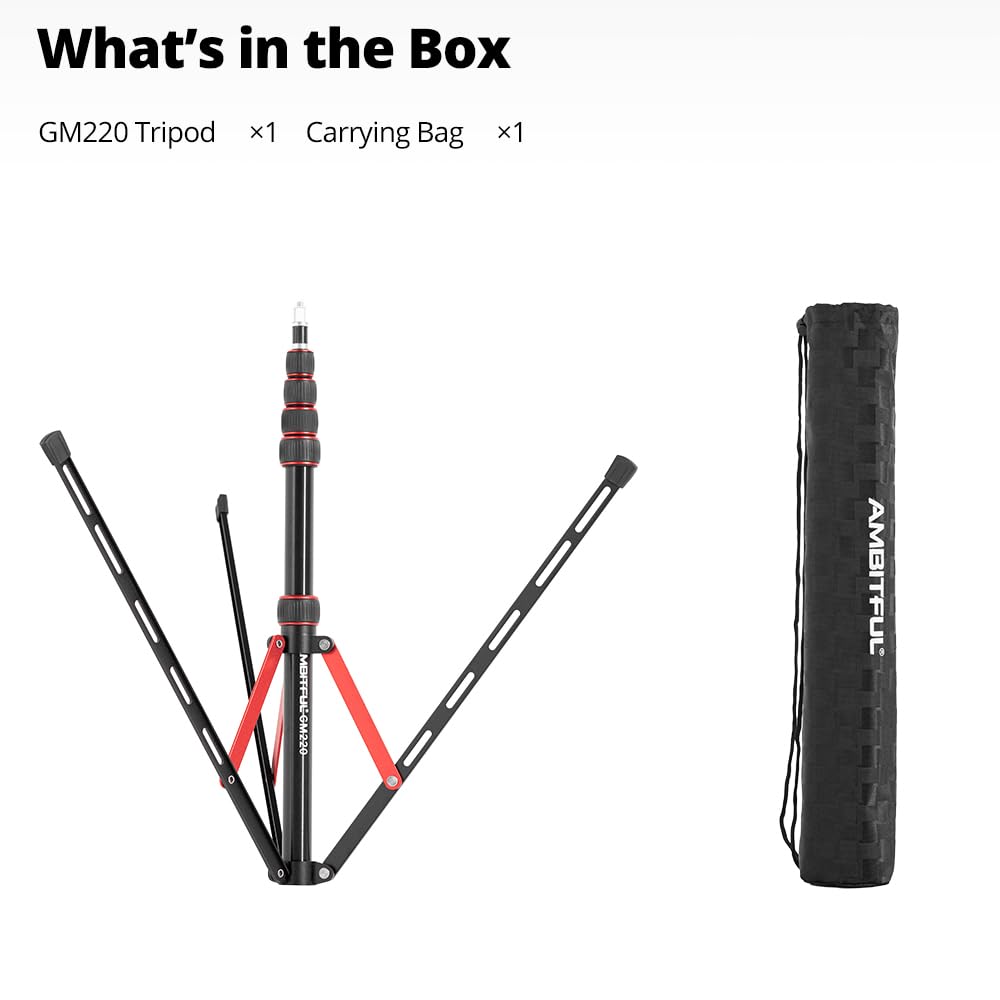 Ambitious Supporto per luce in alluminio, 220 cm, portatile, portata 2,5 kg, luce per foto e flash, con borsa
