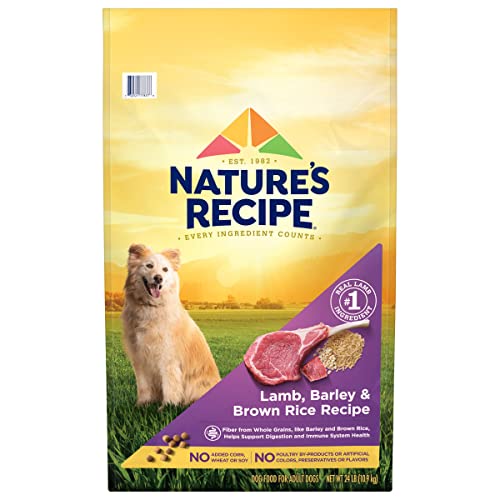 Nature′s Recipe Lamb, Barley & Brown Rice Recipe Dry Dog Food, 24 lb. Bag