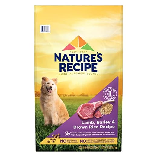 Nature′s Recipe Lamb, Barley & Brown Rice Recipe Dry Dog Food, 24 lb. Bag