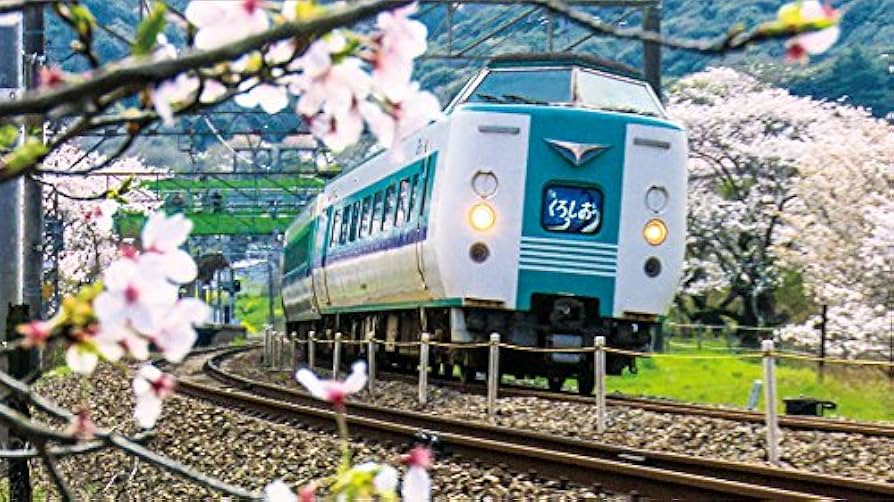 ザッツ(That's)阪和線・紀勢本線 JR西日本 天王寺~和歌山/和歌山市~新宮/関西空港線 lok26k6 Amazon.co.jp: ザッツ(That's)阪和線・紀勢本線 JR西日本 天王寺