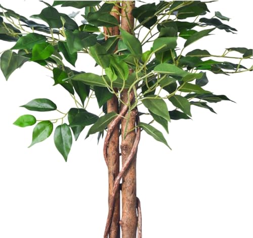Image of VRB Dec 1 Pcs (5 FT) Artificial Plants with Pot Plants Leaves Tree Tropical Bougainvillea Faux Areca Plants Indoor Real Touch Monstera,Banana Plant for Home (Artificial Ficus Plant with Pot)
