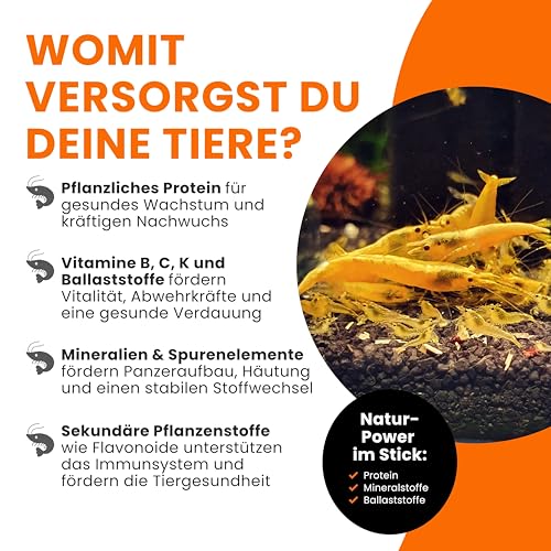 GARNELEN4YOU® Brennnessel Sticks – Premium Garnelenfutter aus 100% Brennnessel – pflanzliche Futter Pellets für Garnelen, Krebse & Schnecken – nachhaltige Verpackung – Made in Germany – 50 g