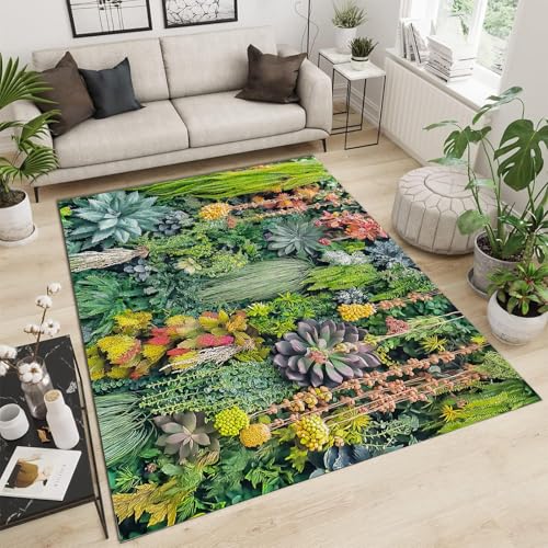 Tapis lavable et antidérapant grand format pour salon - 2