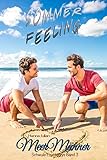 Sommerfeeling: MeerMänner (Schwule Lovestorys 3)