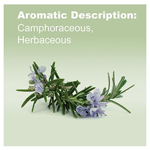 Doterra Rosemary Essential Oil 15 Ml #TOP2