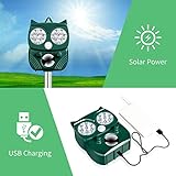 GOUSHY B0G5XQ7846 lato 4