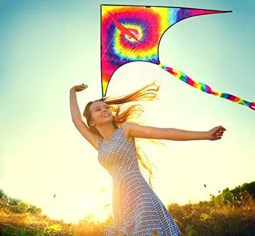 Hengda Kite Colorful Vortex Kite,For Kids And Adults,Easy To Fly,Excellent Fabric And Structure Design,Suitable For Square, Beach, Grass, Park,Excellent Gift,(31.5X63) In. #TOP3