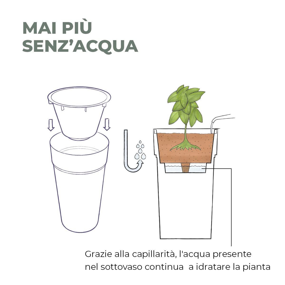Teraplast Vaso Alto Stem 65cm | Antracite, Plastica Riciclabile, Con Riserva D'Acqua E Bicchiere Interno