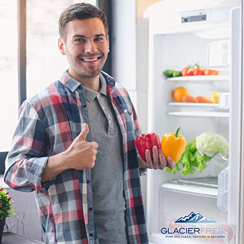 GLACIER FRESH 7007067 Air Purification Cartridge, Air Filter Replacement For Refrigerator 7007076 Air Filter (1 Pack)