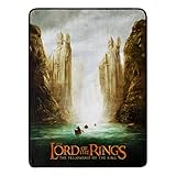 Northwest Lord of The Rings Micro Raschel Throw Blanket, 46' x 60', Legend