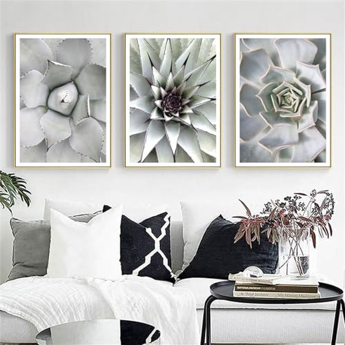 Décoration murale toile plante succulente moderne affiche verte chambre et hôtel