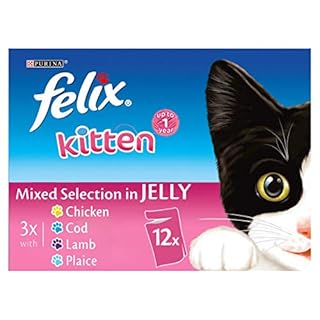 go cat kitten food 2kg