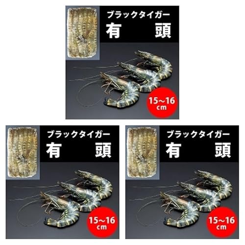 LubN^CK[ 50 Gr 1.3KG×3pbN (܂Ƃߔ) (VandroSt)