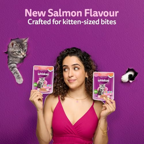 Image of Whiskas Junior Kitten (2-12 Months) Wet Cat Food, Salmon in Jelly Flavour, 80 g (Pack of 28), Hydrating Food Made with Real Fish, 100% Complete & Balanced Nutrition for Kittens
