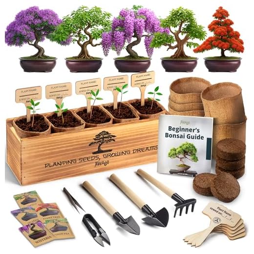 AVERGO Bonsai Tree Kit for Beginners