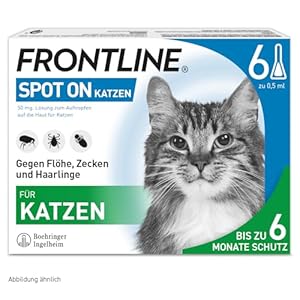FRONTLINE Spot ON Katze 6X Pipetten