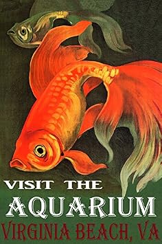 Golden RED Fish Visit The Aquarium in Virginia Beach VA Travel Tourism 16" X 24" Image Size Vintage Poster REPRO ON Canvas WE Have Other Sizes