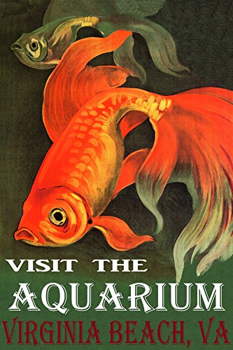 WONDERFULITEMS GOLDEN RED FISH VISIT THE AQUARIUM IN